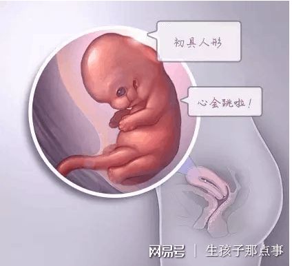 严重少弱精案例